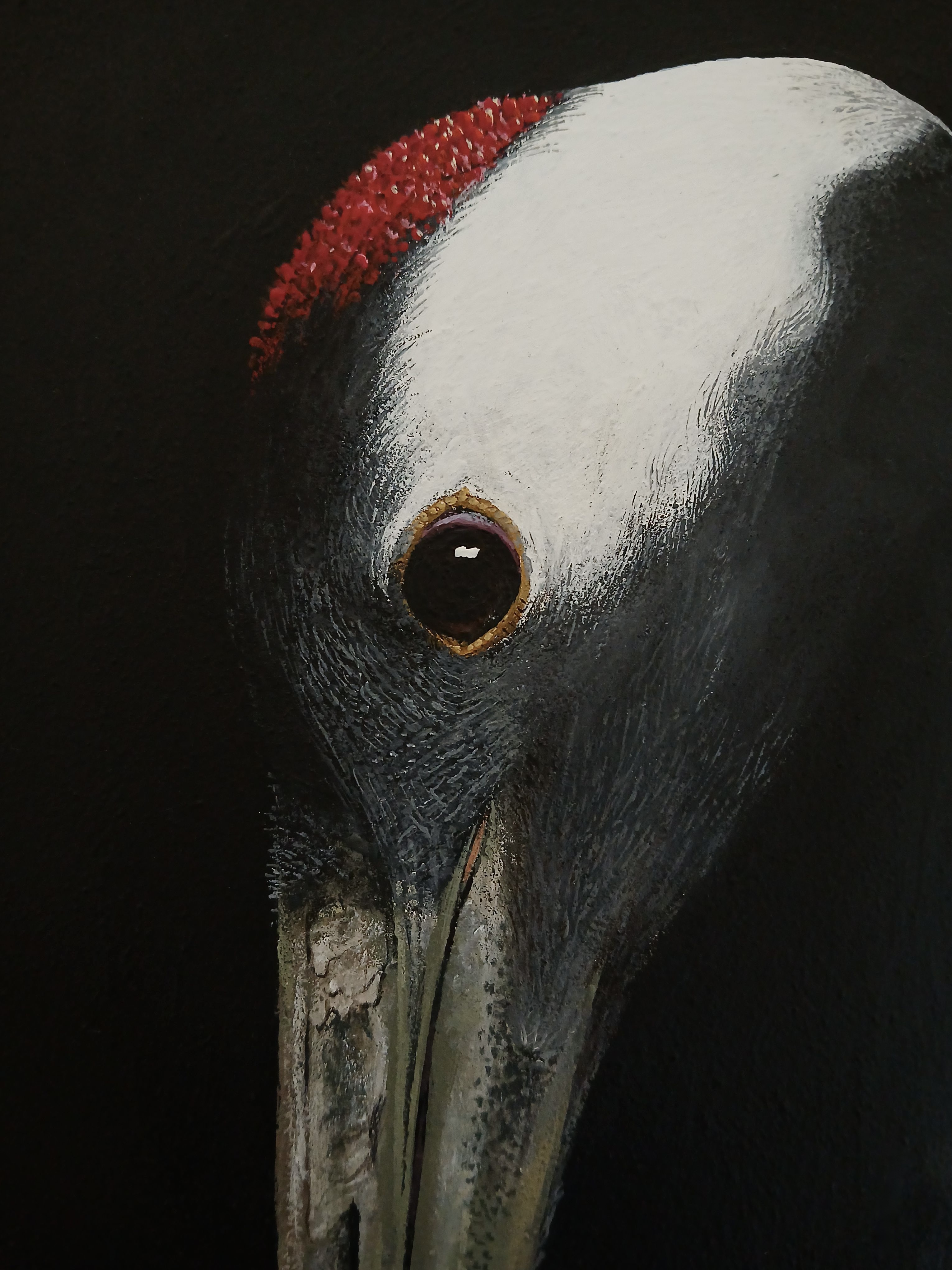 One Crane (detail)