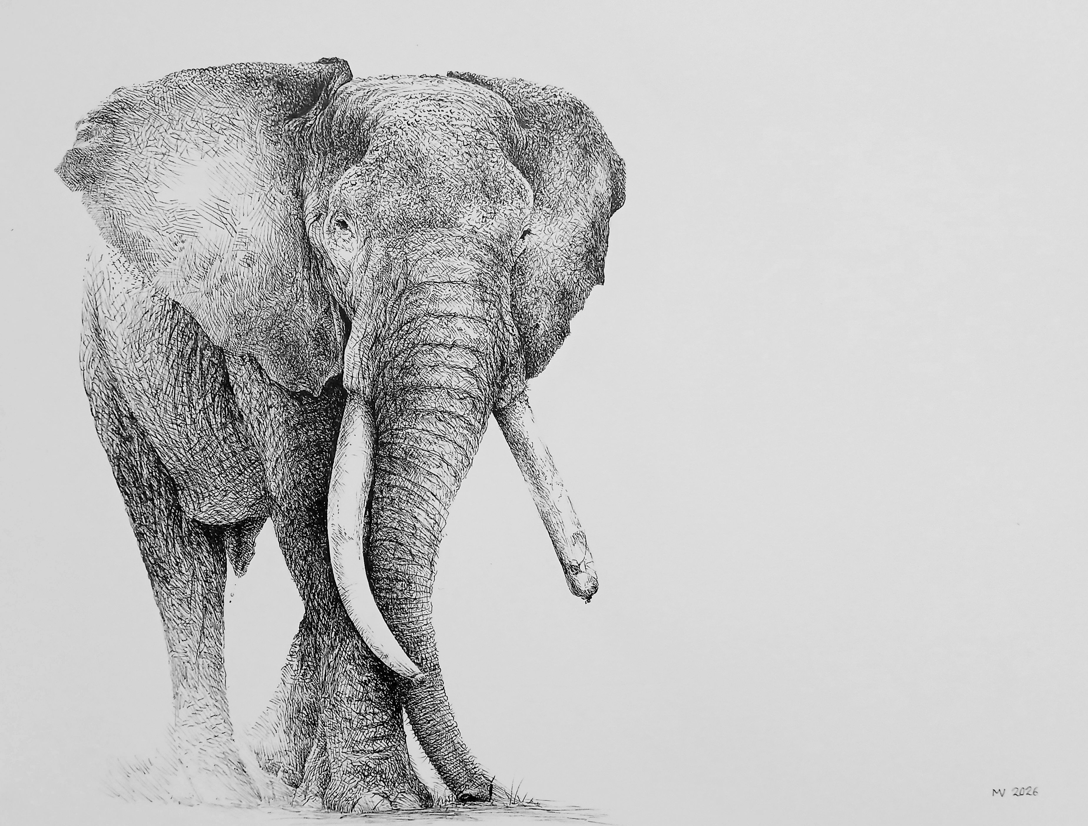 Ivory Ghost
